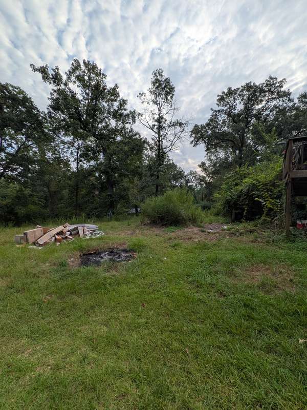 Overgrown site before clearing - Lonestar Landworks