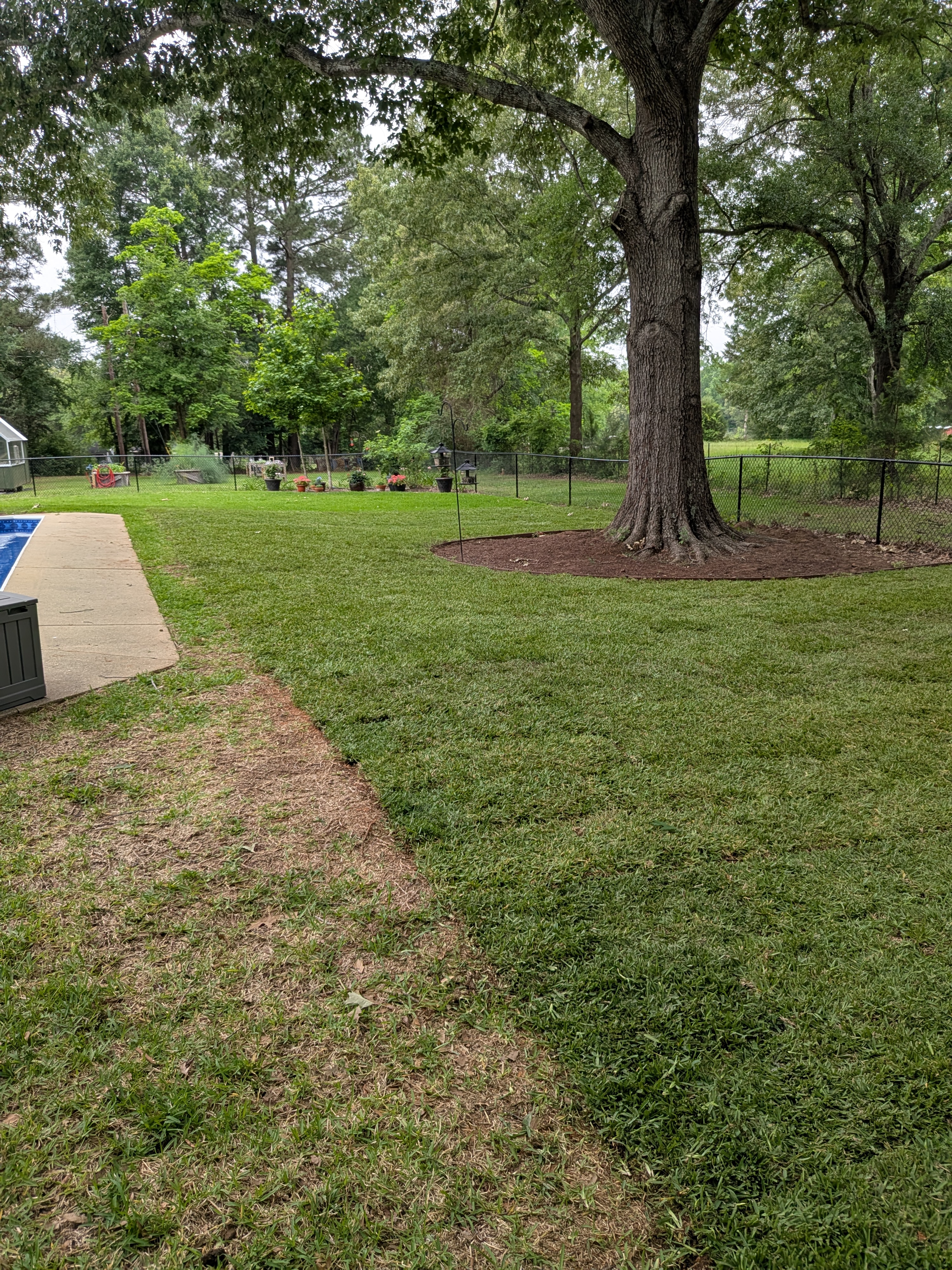 Sod installation after - Lonestar Landworks East Texas