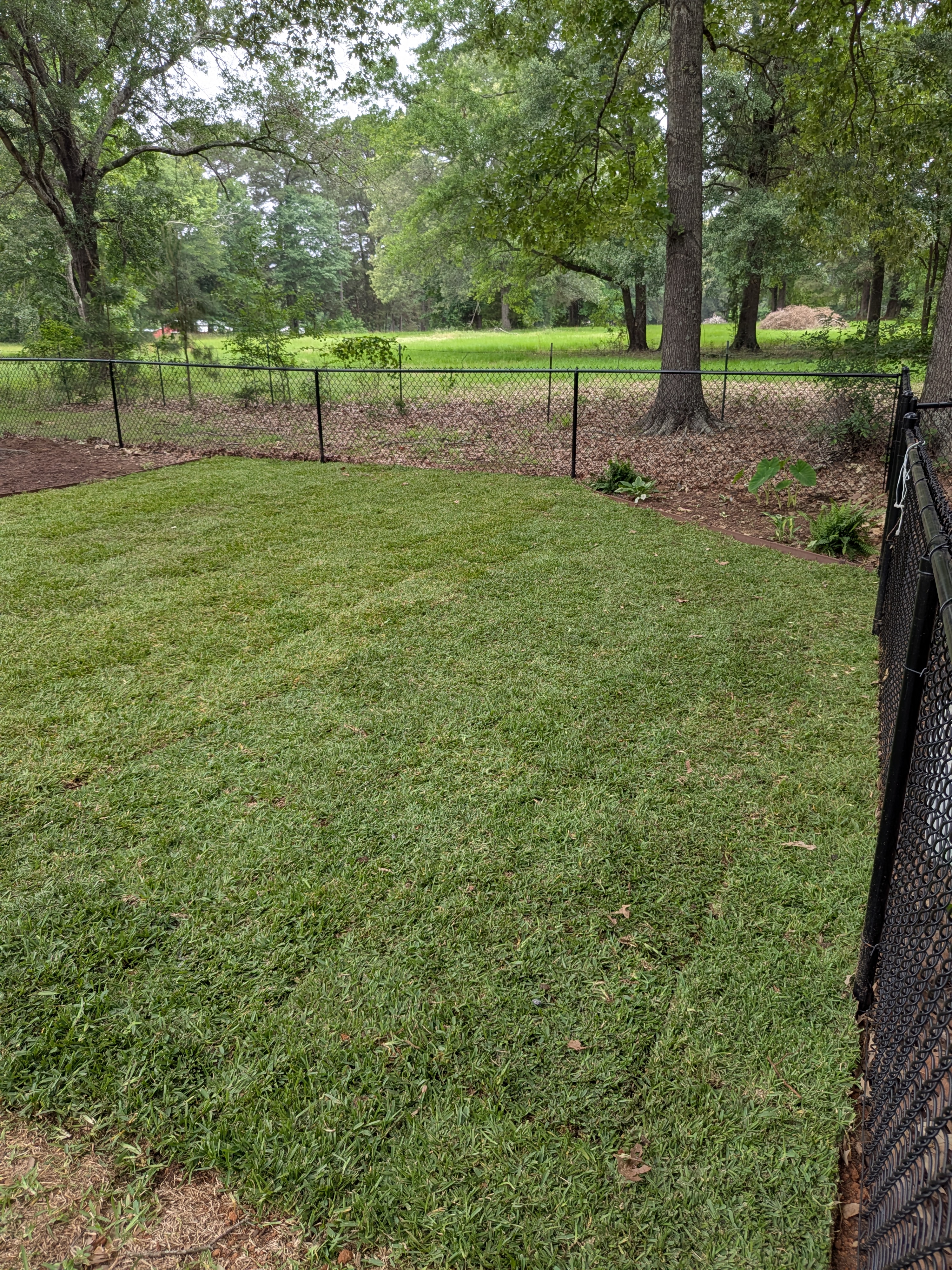 Sod installation completed - Lonestar Landworks Kilgore TX
