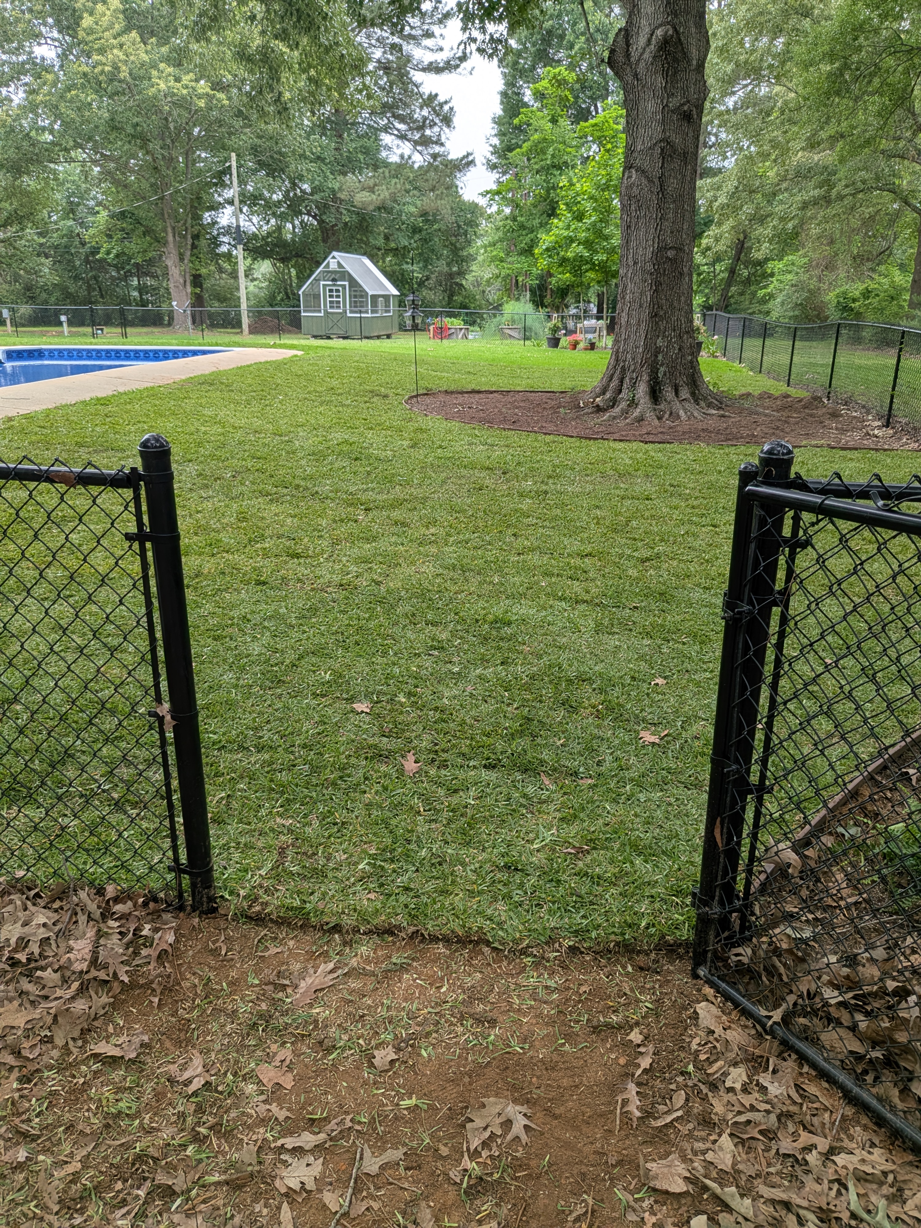 Sod installation completed - Lonestar Landworks Kilgore TX